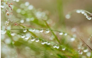 pluie eau sécheresse