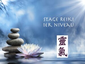 IMAGE REIKI