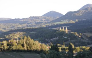 rando , pays de bourdeaux