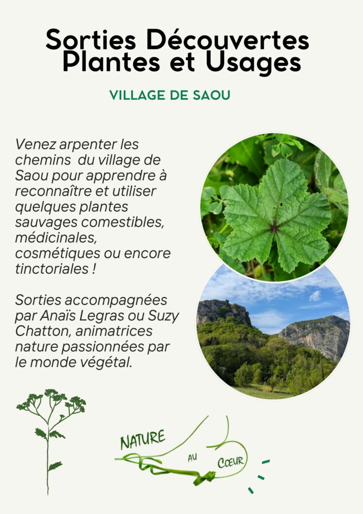 Flyer sorties plantes (2)-1