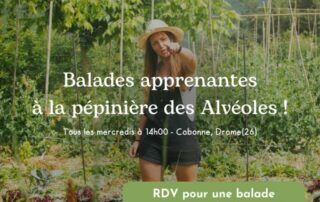 Les Alvéoles - Com Balades apprenantes - Automne