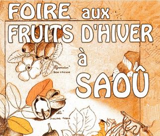 Suppr17-11-25-Foire xs