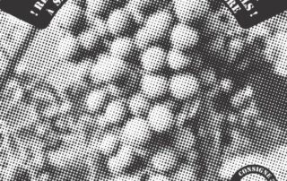 MEP-BICHEENMOUSSE-V2_compressed