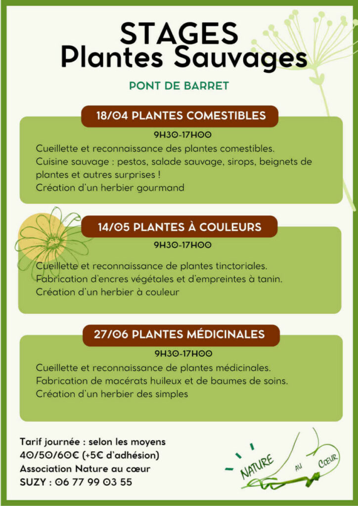 Flyers Sorties plantes sauvages-2