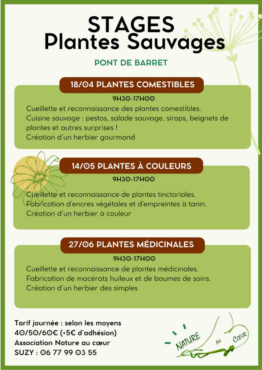 Flyers Sorties plantes sauvages-2
