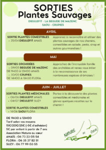 Flyers Sorties plantes sauvages-4