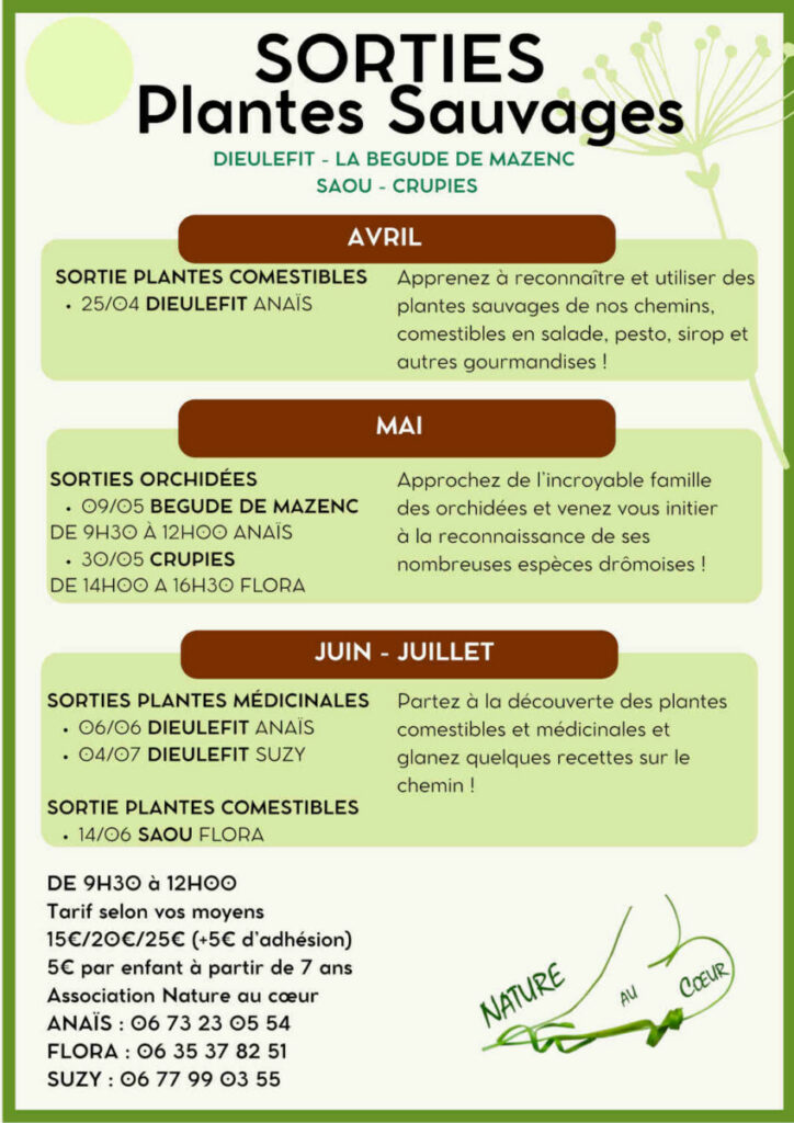Flyers Sorties plantes sauvages-4