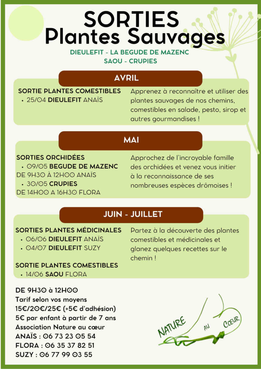 Flyers Sorties plantes sauvages-4
