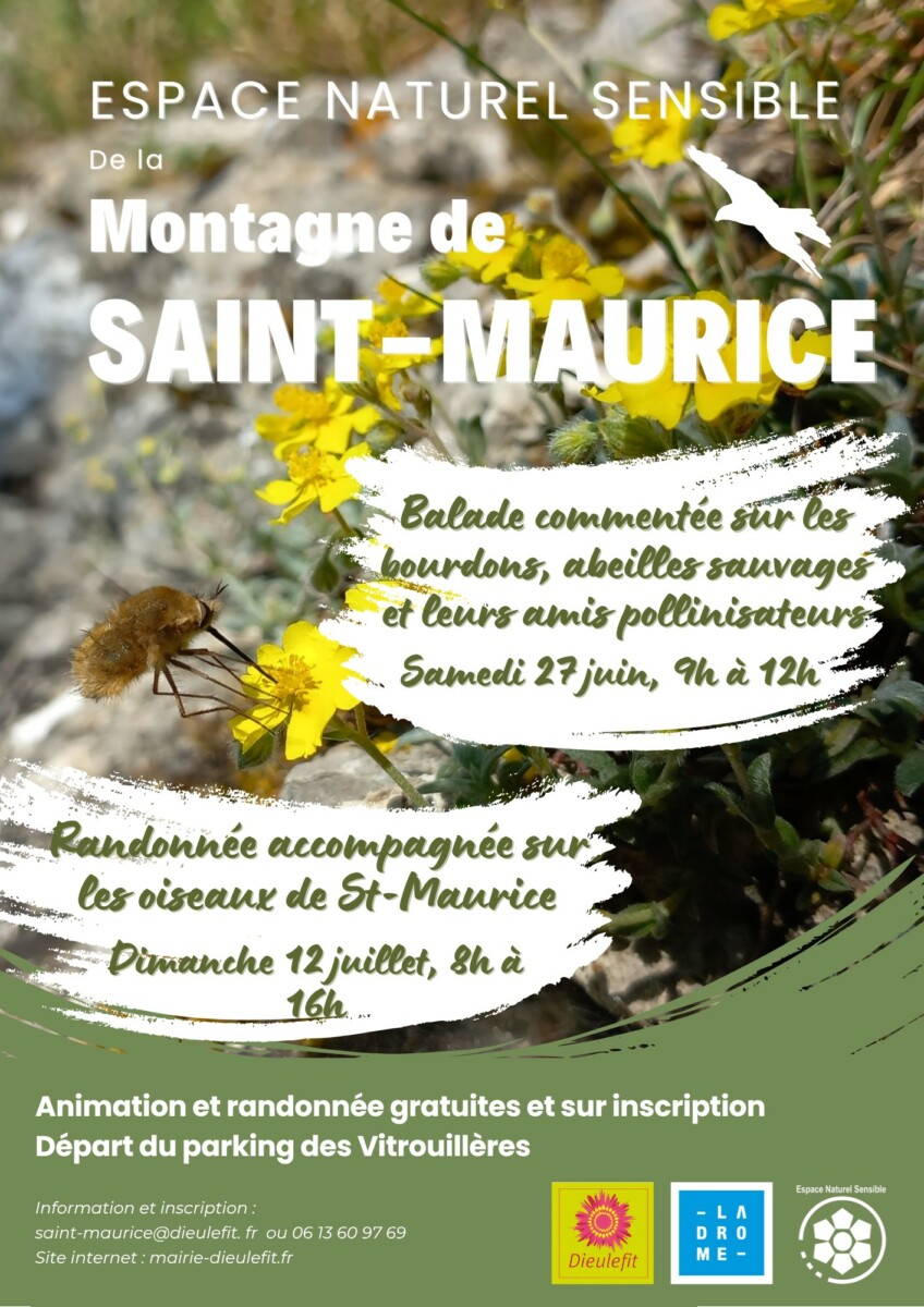 ENS St Maurice - Pollinisateurs et randonnée(1)